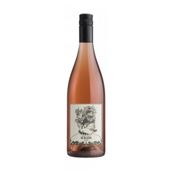 In Bloom Rosé 2021 - Cuvée Rosé - Weinsortiment - Top-Weine des Burgenlands  und abwechslungsreiche Veranstaltungen